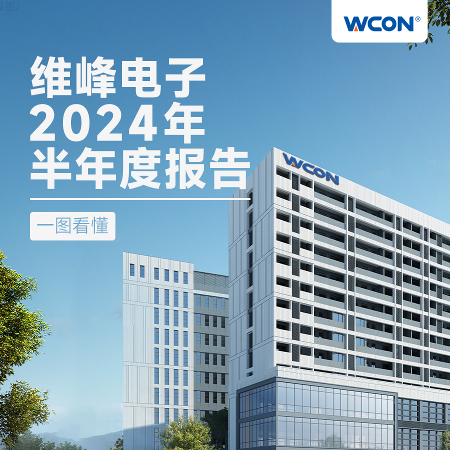 2024年半年报